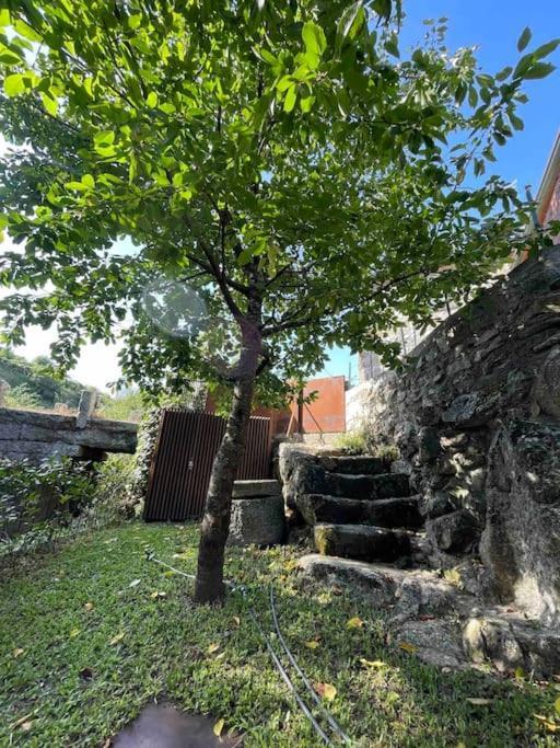 Casa Da Tintim Em Baiao Villa Ngoại thất bức ảnh