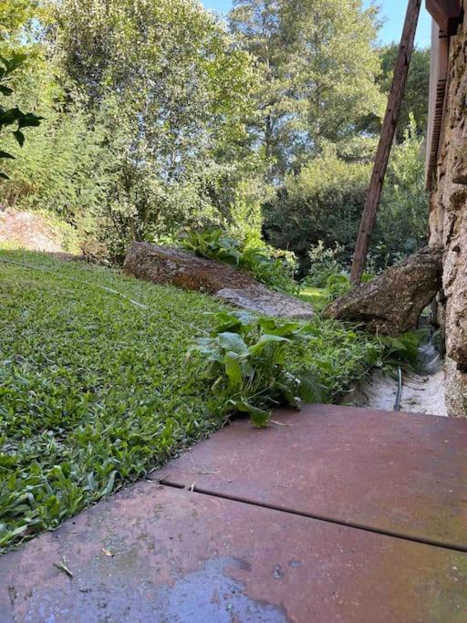 Casa Da Tintim Em Baiao Villa Ngoại thất bức ảnh