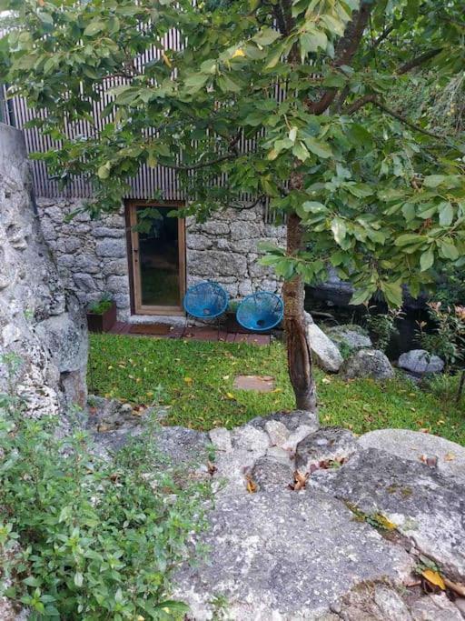 Casa Da Tintim Em Baiao Villa Ngoại thất bức ảnh